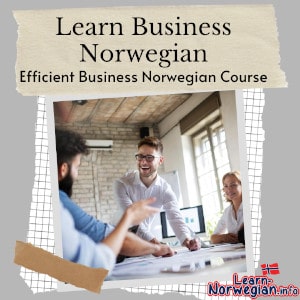 Learn Business Norwegian Efficent und fast